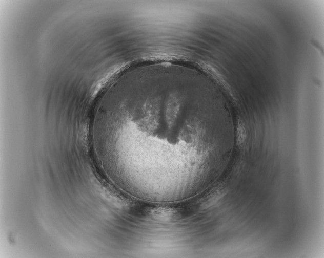 X0000100900444200807011224