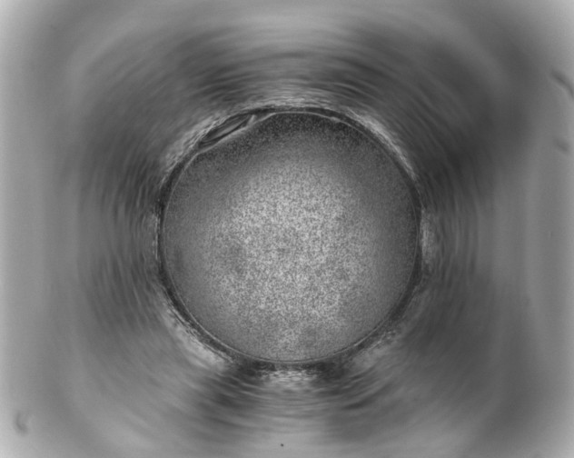 X0000100900445200807011224