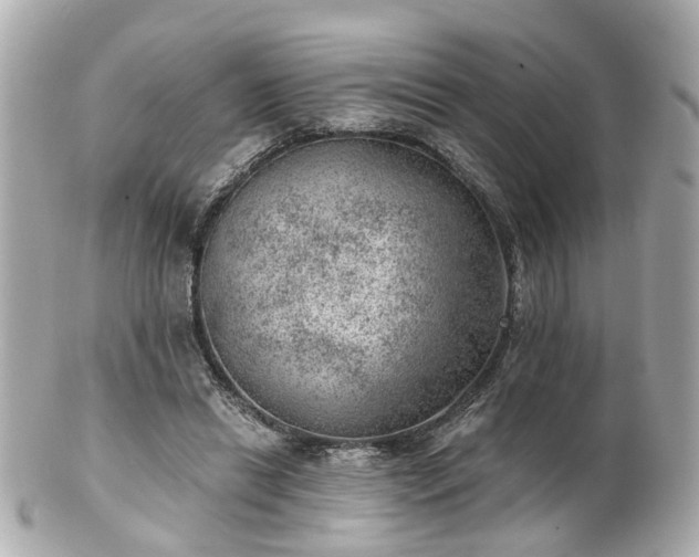 X0000100900446200807011224