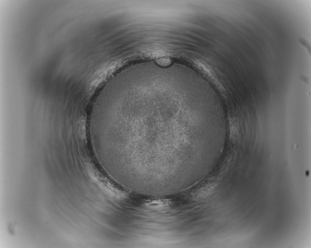 X0000100900447200807011224