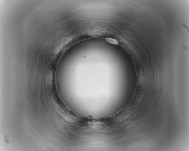 X0000100900448200807011224