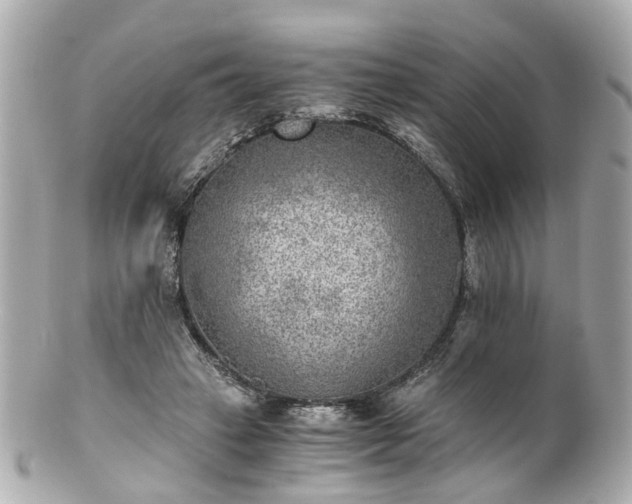 X0000100900449200807011224