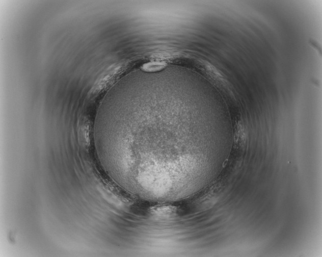 X0000100900452200807011224