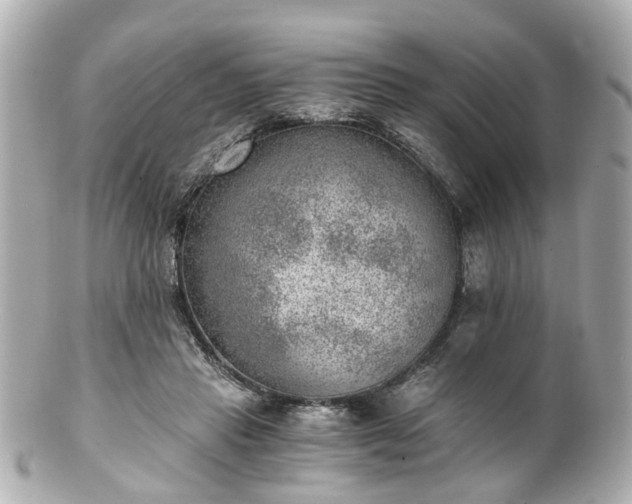 X0000100900453200807011224