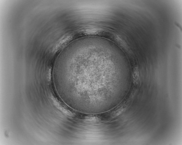 X0000100900454200807011224