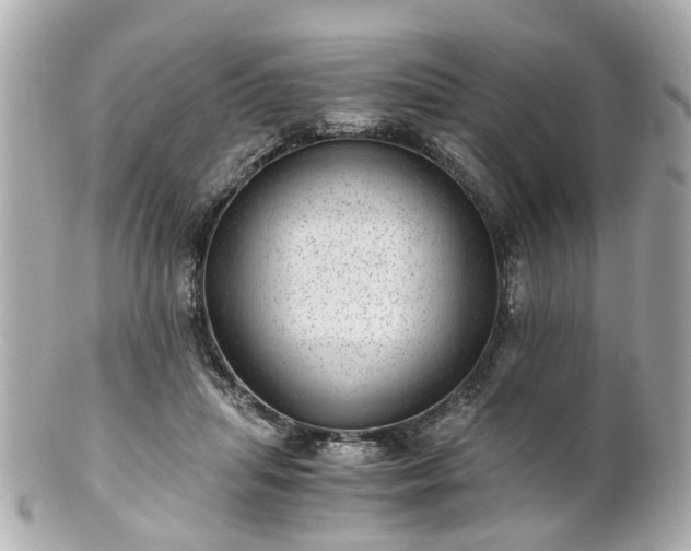 X0000100900455200807011224