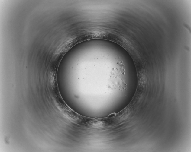 X0000100900456200807011224