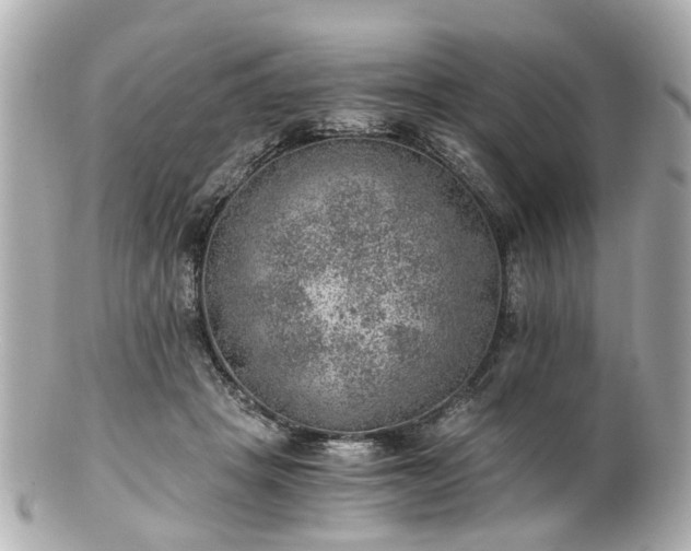 X0000100900457200807011224