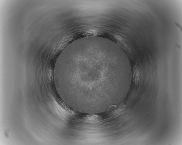 X0000100900459200807011224