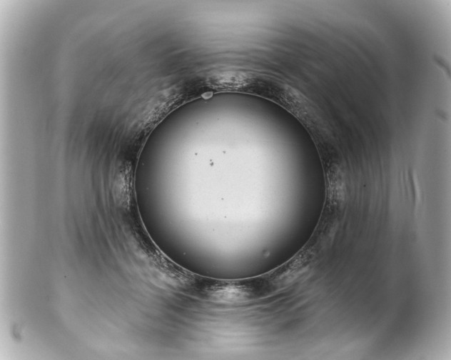 X0000100900460200807011224