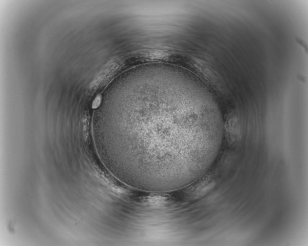 X0000100900462200807011224