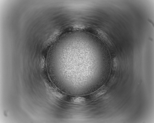 X0000100900463200807011225