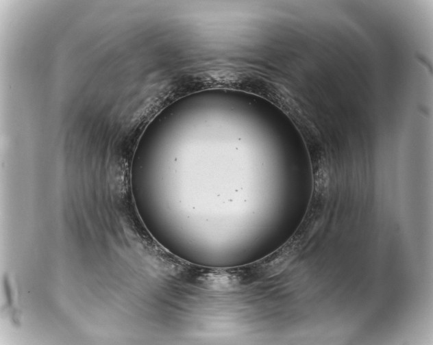 X0000100900464200807011225