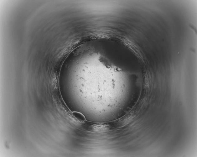 X0000100900465200807011225