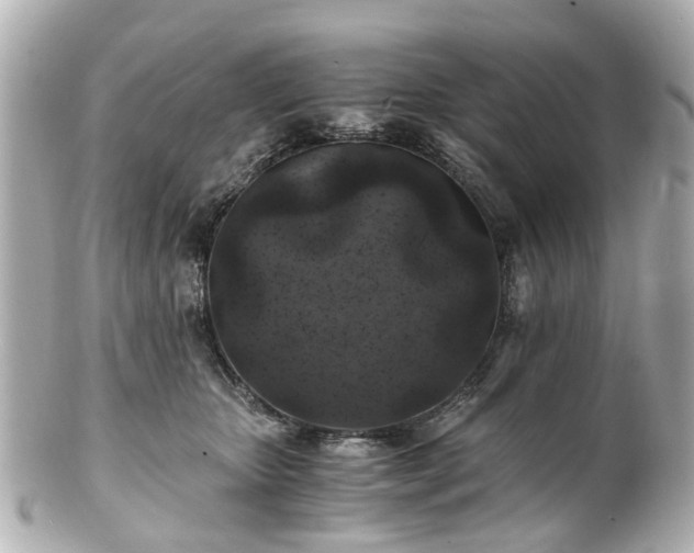 X0000100900467200807011225