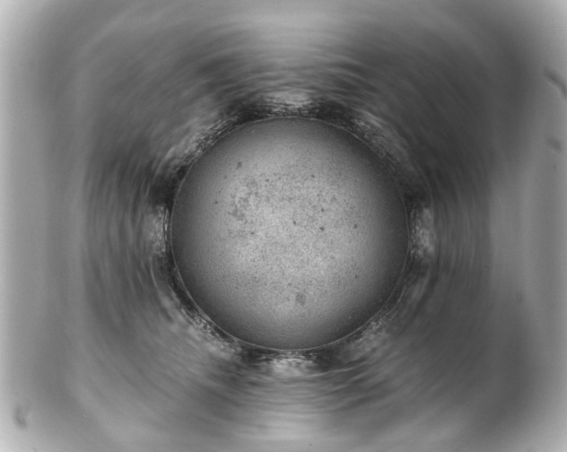 X0000100900468200807011225