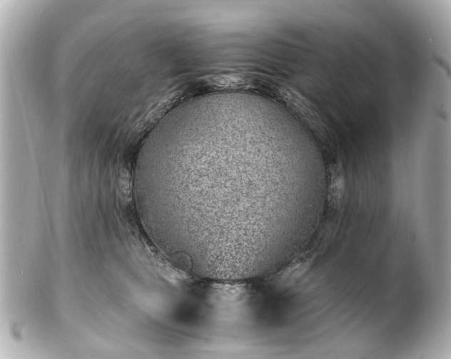 X0000100900469200807011225