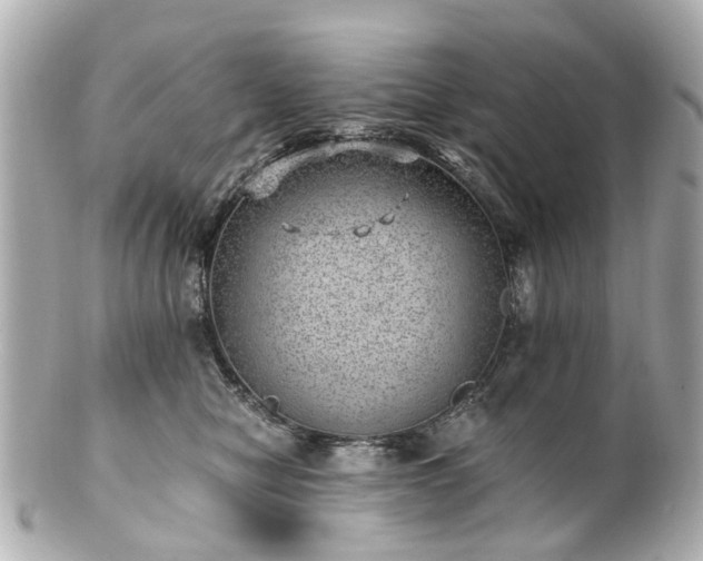 X0000100900470200807011225