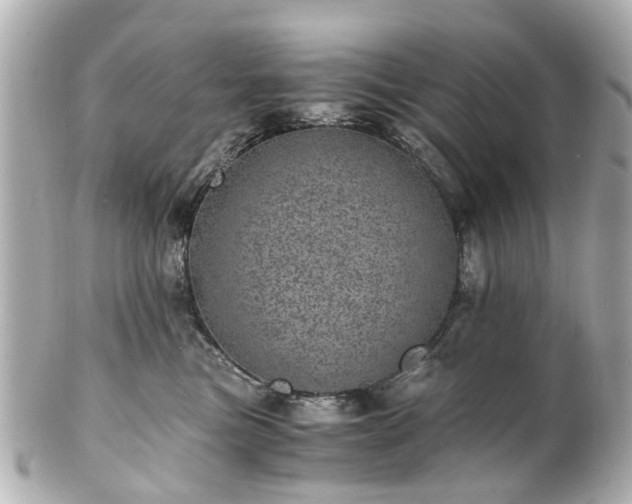 X0000100900473200807011225