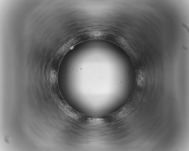 X0000100900476200807011225