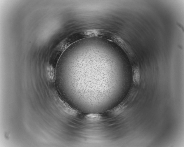 X0000100900477200807011225