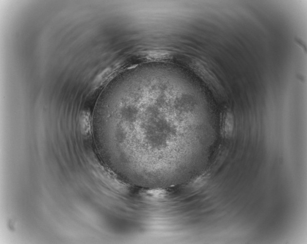 X0000100900478200807011225