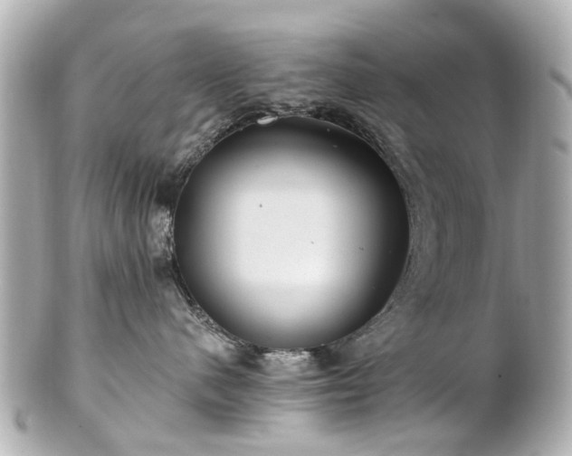 X0000100900480200807011225