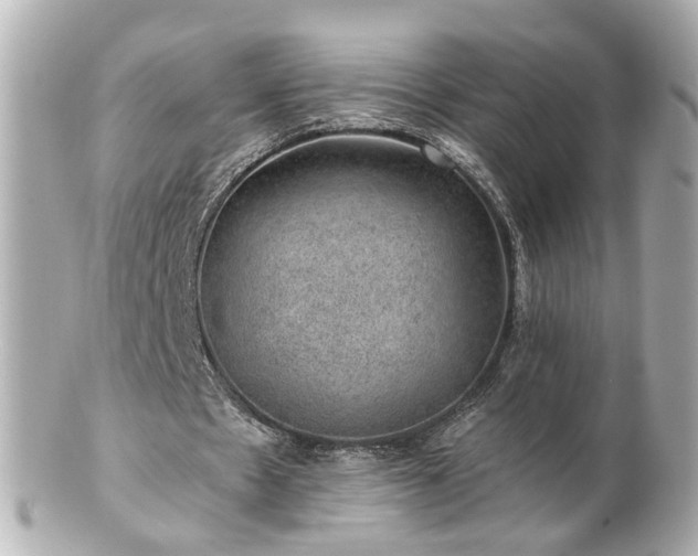 X0000100900481200807011224