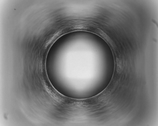 X0000100900482200807011224