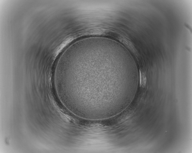 X0000100900483200807011224