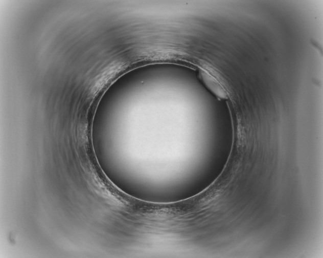 X0000100900485200807011224