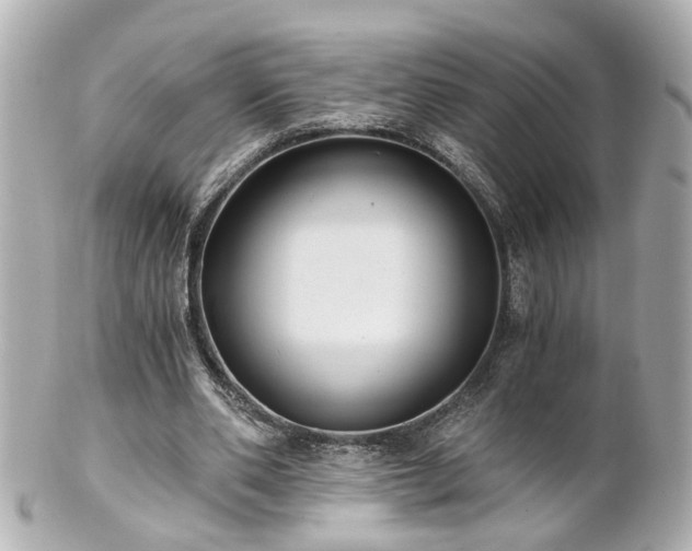 X0000100900486200807011224