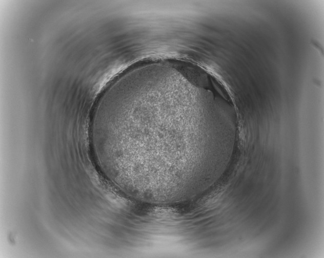 X0000100900487200807011224