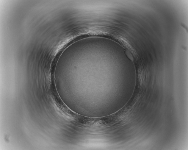 X0000100900488200807011224