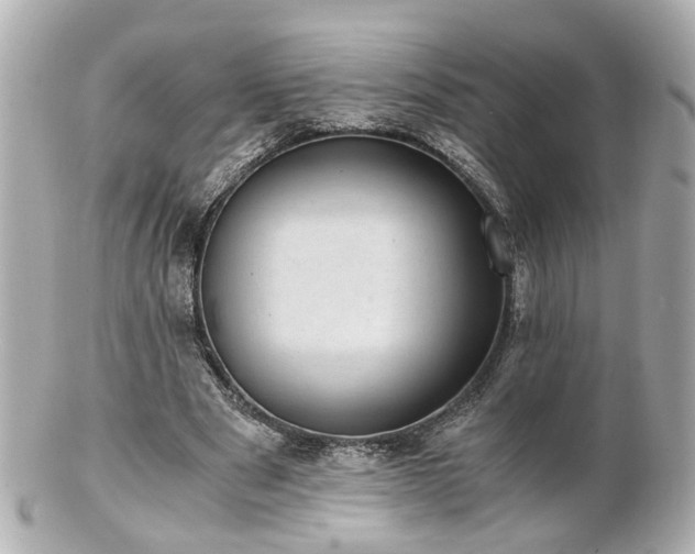 X0000100900489200807011224