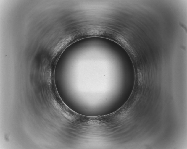 X0000100900490200807011224