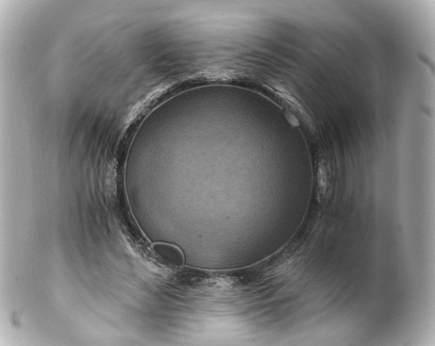 X0000100900492200807011224