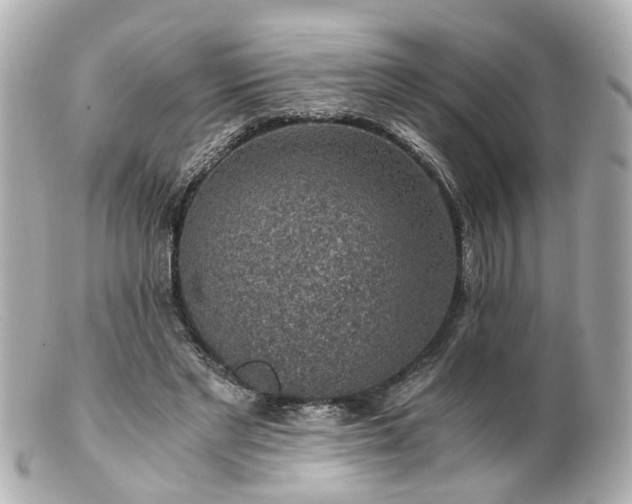 X0000100900493200807011224