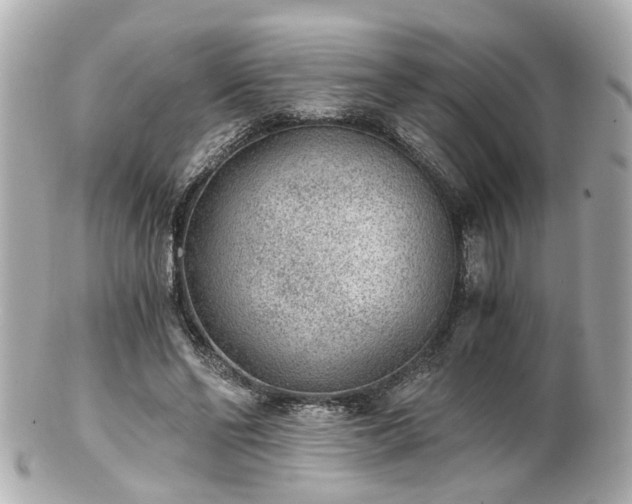 X0000100900494200807011224