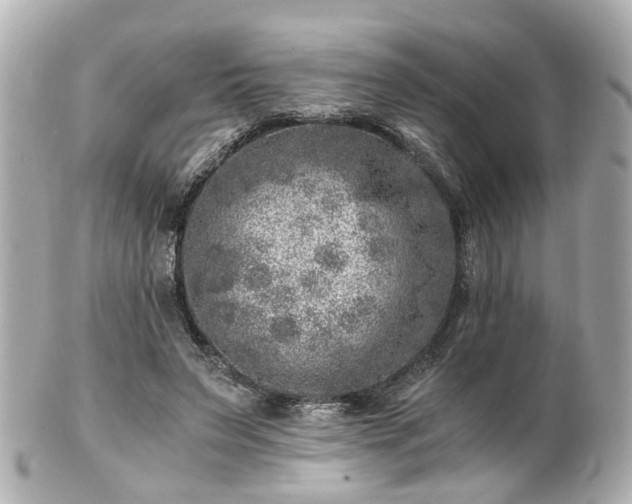 X0000100900495200807011223