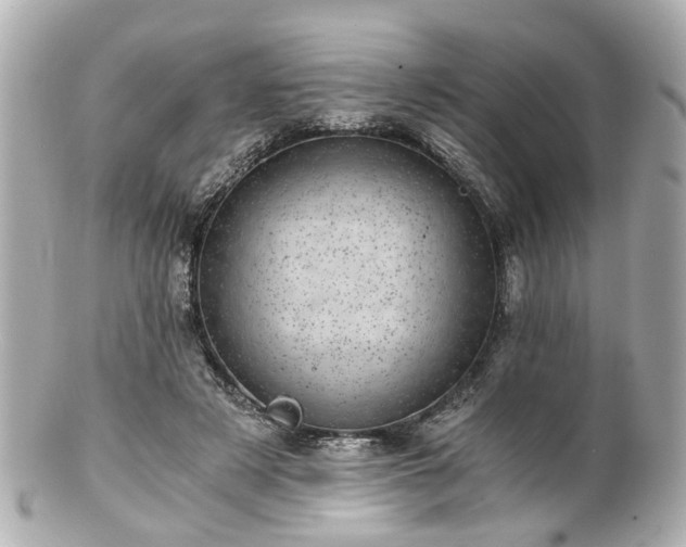 X0000100900497200807011223