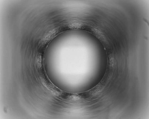 X0000100900498200807011223