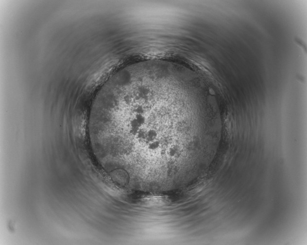 X0000100900499200807011223