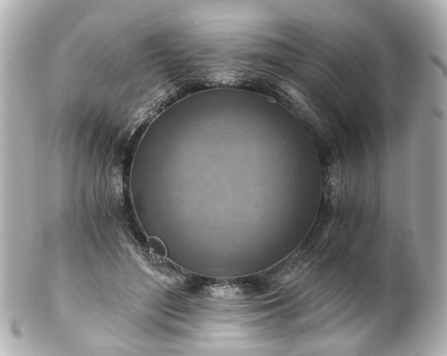 X0000100900500200807011223