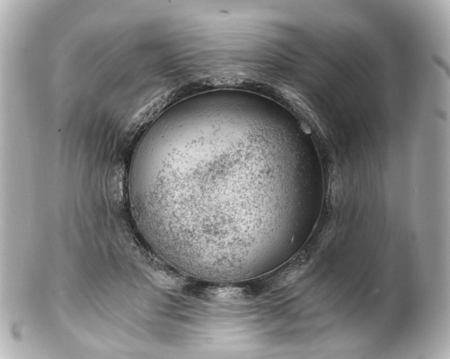 X0000100900501200807011223