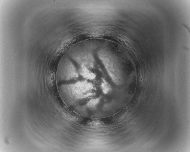 X0000100900503200807011223