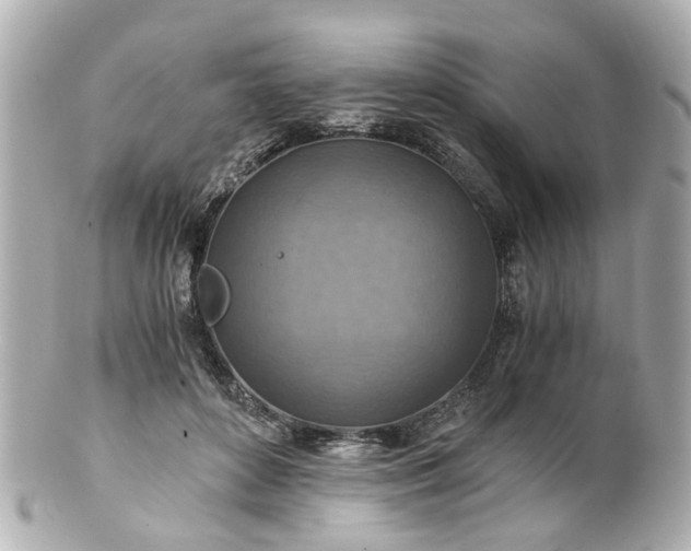 X0000100900504200807011223