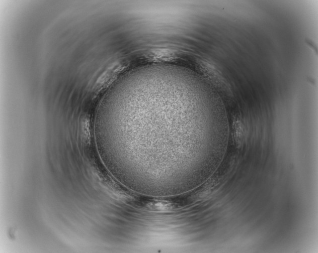 X0000100900506200807011223