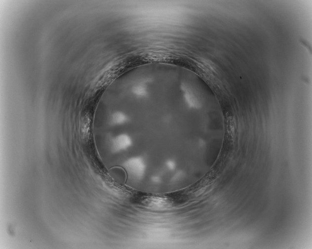 X0000100900507200807011223