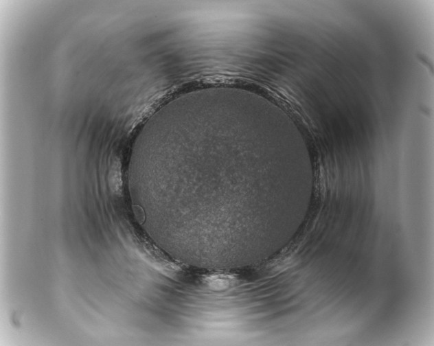 X0000100900508200807011223